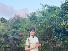 -兴隆槟榔园休闲农庄