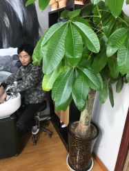 点击看大图 -KIMI HAIR SALON·烫染设计店