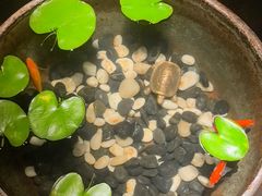 -曲水兰亭(北京四惠店)