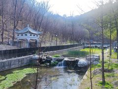 -白水寺森林公园