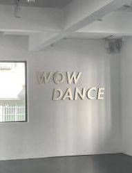 -wow舞蹈培训