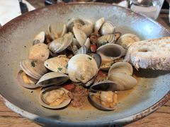 -Apollo·西班牙小酒馆(安福路店)