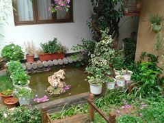 -浔岚云舍mist静谧观景美宿(丽江古城店)