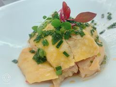 -外滩1288花园丽舍