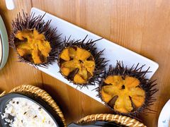 -海胆小馆(东北水饺·春柳店)