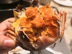 -安蒂娅·海鲜自助餐厅(安蒂娅美兰酒店)