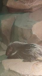 点击看大图 -酷嗒动物文化乐园(cutezoo西溪乐天城店)