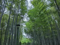 -杭州植物园