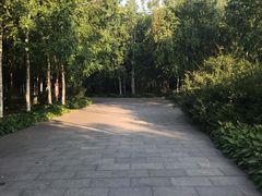 -群力丁香公园