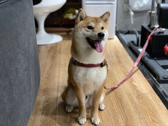 -YCHL Studios健身工作室(市二宫店)