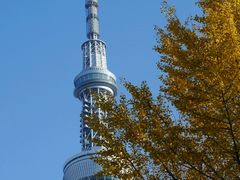 -东京都厅舍