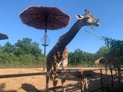 -济南野生动物世界