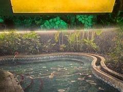 -台山颐和温泉城