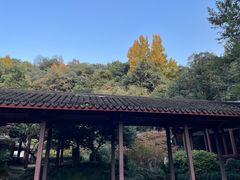 -杭州黄龙洞