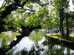 -江心屿景区