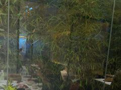 -潮州府·潮菜·砂锅粥(徐家汇店)