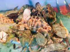 -V-ONE西雅图海鲜自助餐厅(仓山万达广场店)