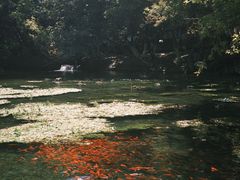 -水磨沟公园