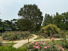 -国家植物园南园