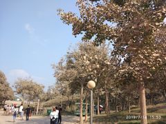 -黄河小浪底水利枢纽风景区