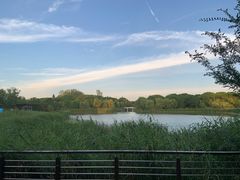 -昆山城市生态森林公园