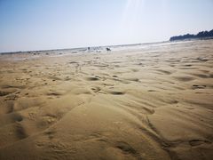 -北海金海湾红树林生态旅游区