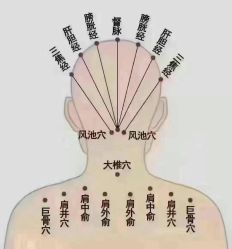 -名发世家烫染
