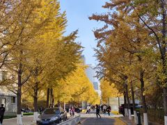 -东北大学(南湖校区)