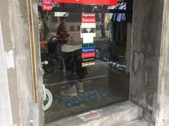 -清真·玛丽亚新疆菜主题餐厅(浙江中路店)