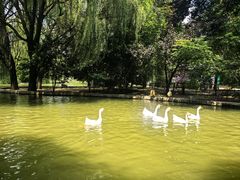 -洛阳市隋唐城遗址植物园