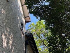 -上海蔡元培故居陈列馆