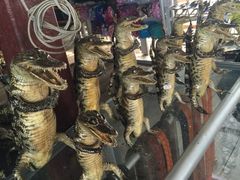 -洞里萨湖