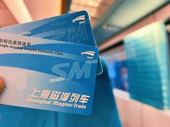 -龙阳路磁悬浮列车总站-停车场