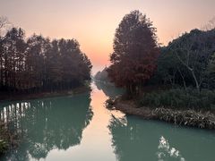 -贡湖湾湿地公园