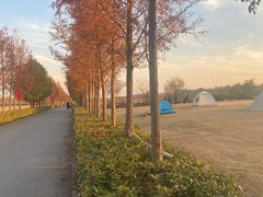 -嘉北郊野公园