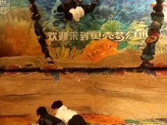 -贝壳梦幻世界