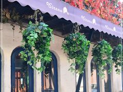 -Sirena海妖日咖夜酒