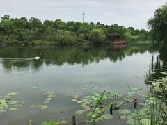 -上海怡沁园度假酒店