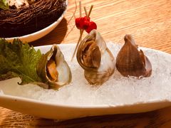 海螺-乐亭日本料理(彩虹本店)