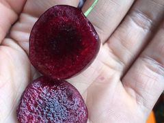 -唐桥水果批发市场