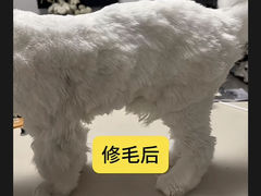 -猫苑生活馆