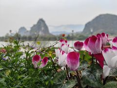 -星湖旅游景区七星岩