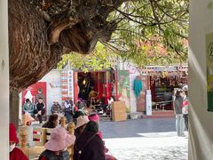 -古树酸奶(八廓南街店)