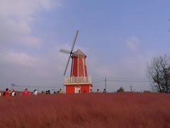 -羊亭河湿地公园