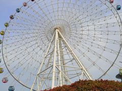 -琴岛之星摩天轮