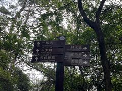 -武夷山风景名胜区-虎啸岩