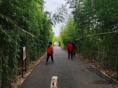 -武汉紫薇都市田园