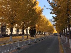 -东北大学(南湖校区)
