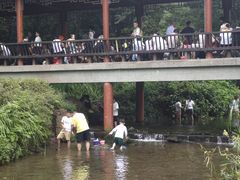 -重庆彩云湖湿地公园