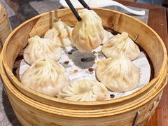 -莱莱小笼·乔艾